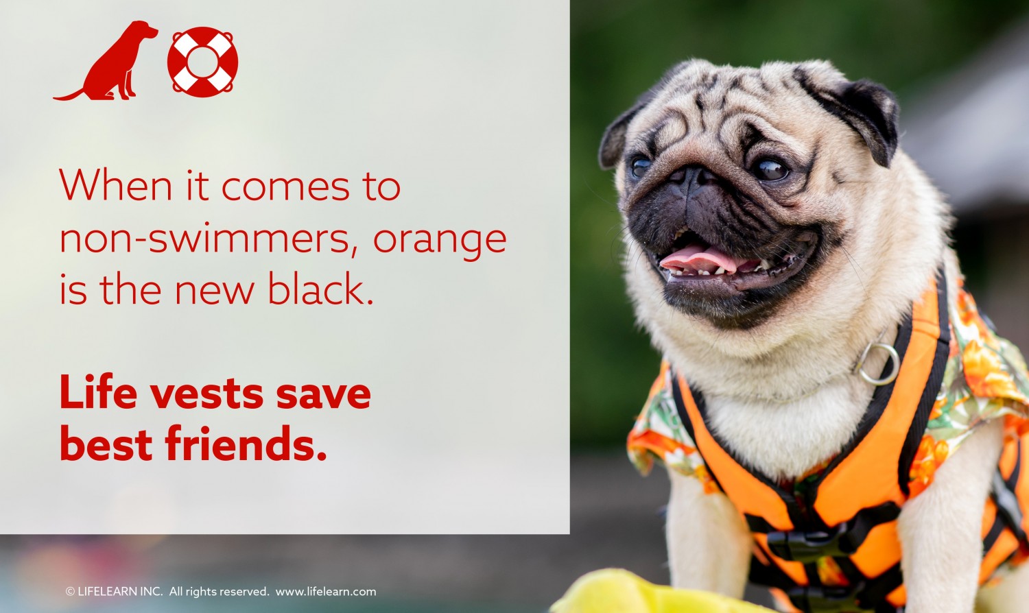 Country Animal Hospital and Pet Boarding Louisville, KY Home